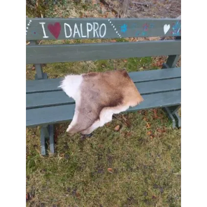 Sitteunderlag av hjort