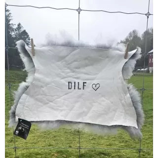 DILF