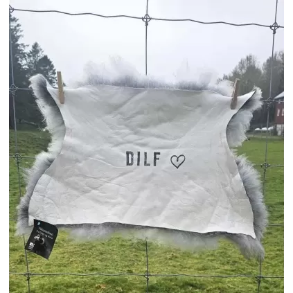 DILF