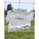 Fisfanger