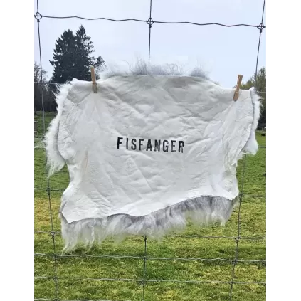 Fisfanger