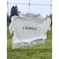 Fisfanger